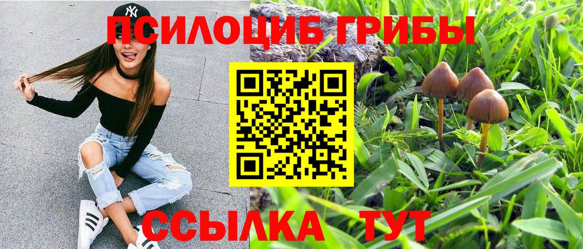 Псилоцибиновые грибы мицелий Киселёвск